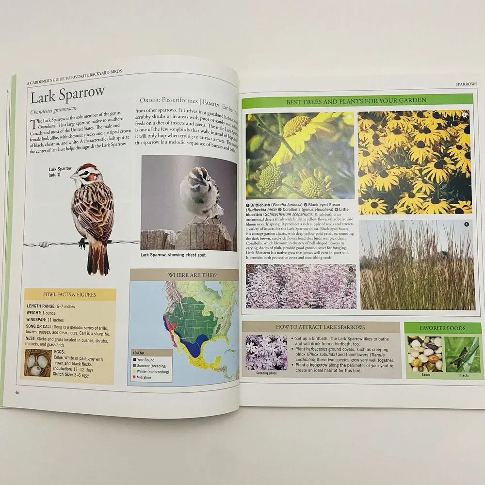 Garden Secrets for Attracting Birds By Rachael Lanicci (2010, Trade Paperback)